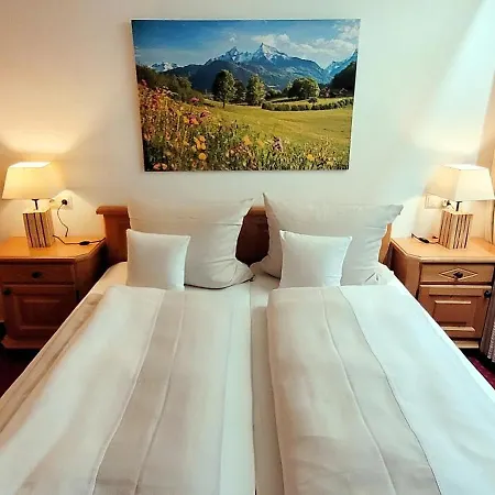 ホテル - - Heidelberg Inkl. Chiemgaukarte 3*